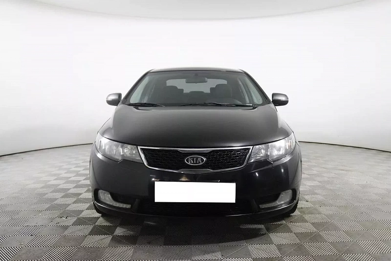 Cerato