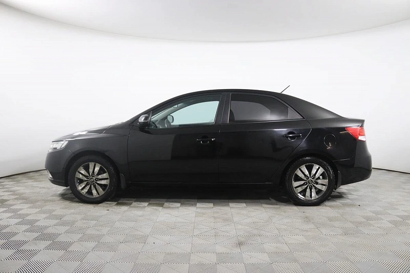 Cerato